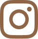 Instagram Icon